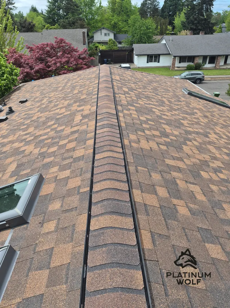 Two story contemporary roofing project in the Willamette Valley — photo 9