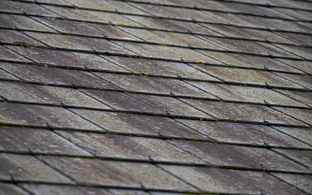 A weathered asphalt shingle roof in need of cleaning and moss treatment.